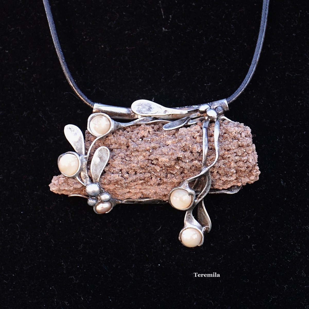 Velmi dávno - zkamenělé dřevo, araukarit