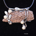 Velmi dávno - zkamenělé dřevo, araukarit