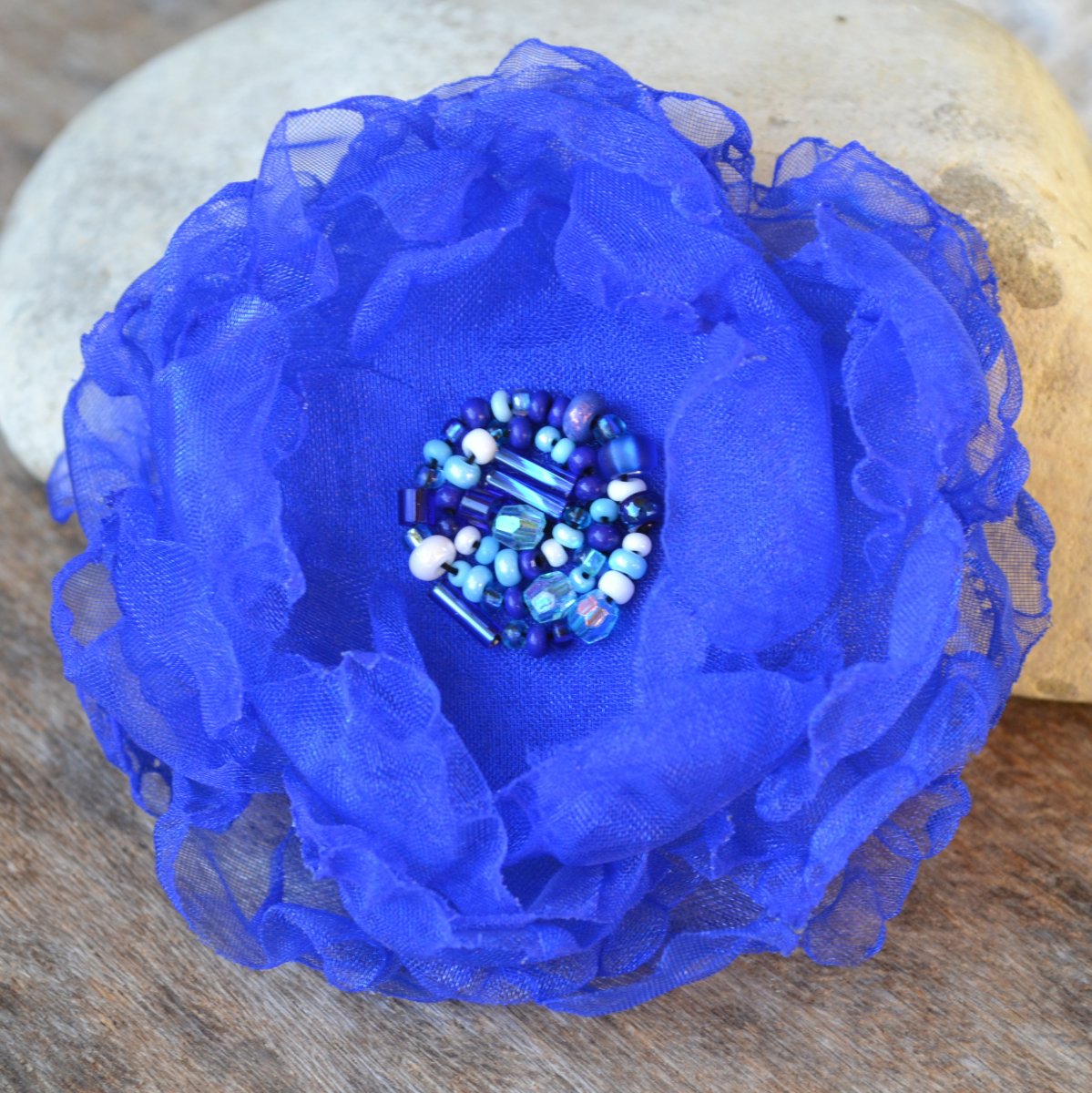 třapatka - tmavě modrá