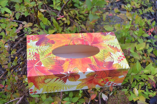 krabička na kapesníky barevné listí
