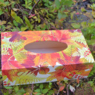 krabička na kapesníky barevné listí