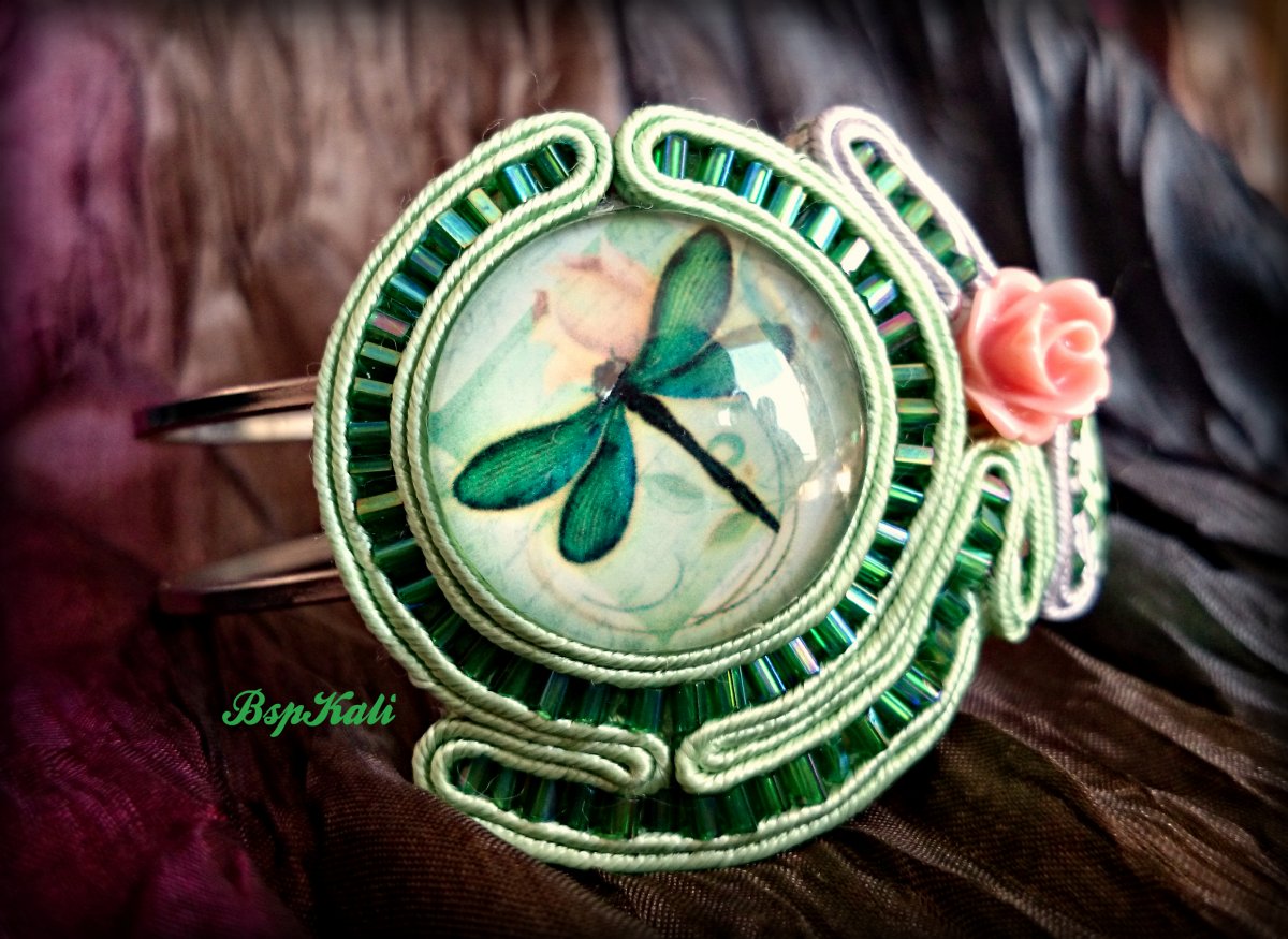 Na křídlech vážky