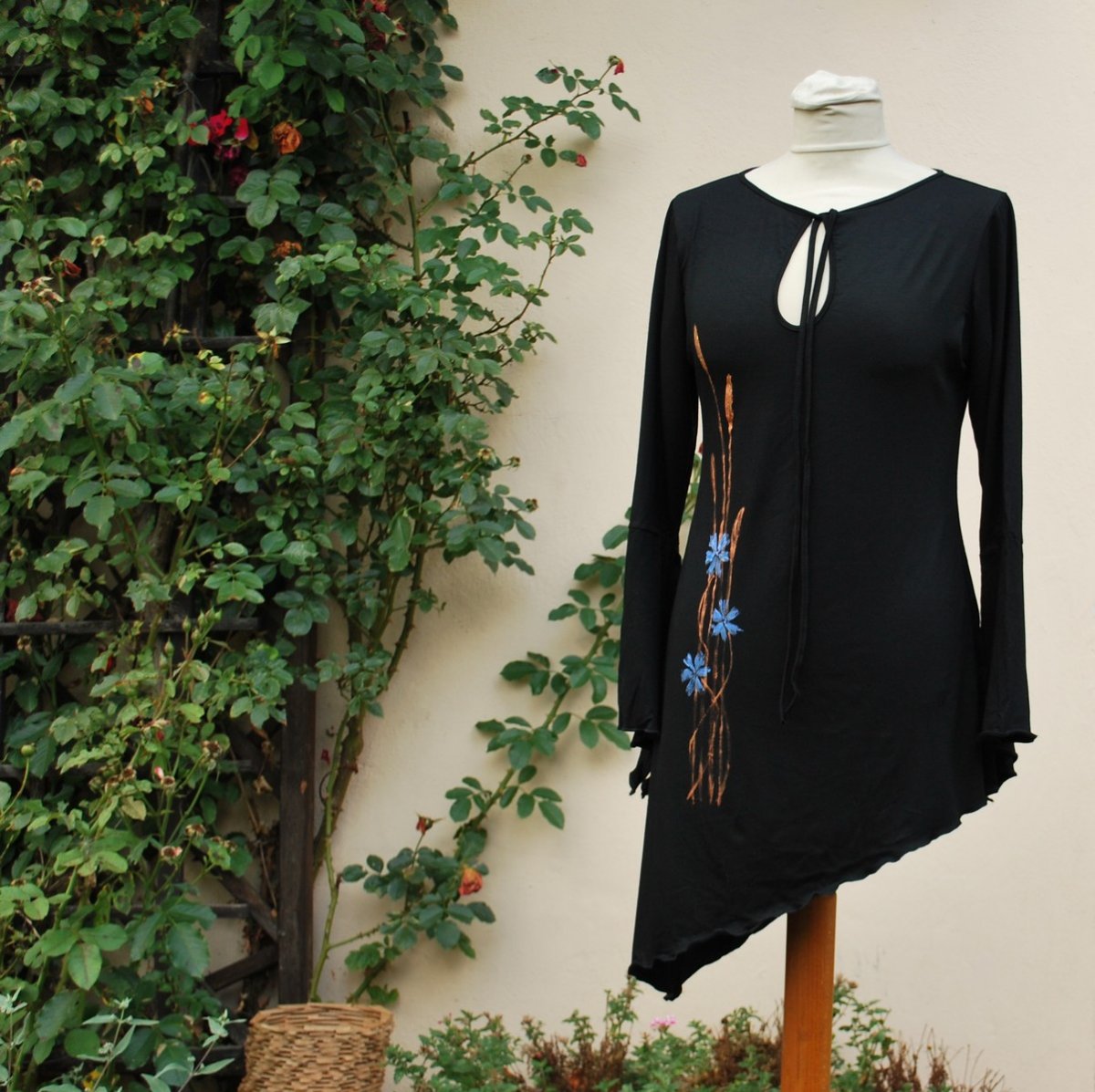 V asymetrii s chrpami