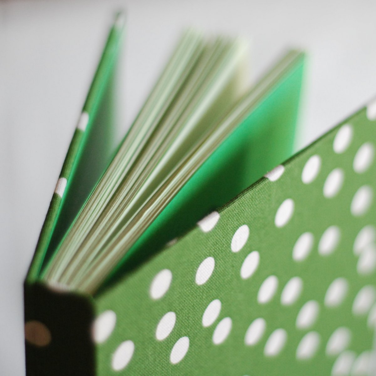 Zelený zápisník s bílými puntíky