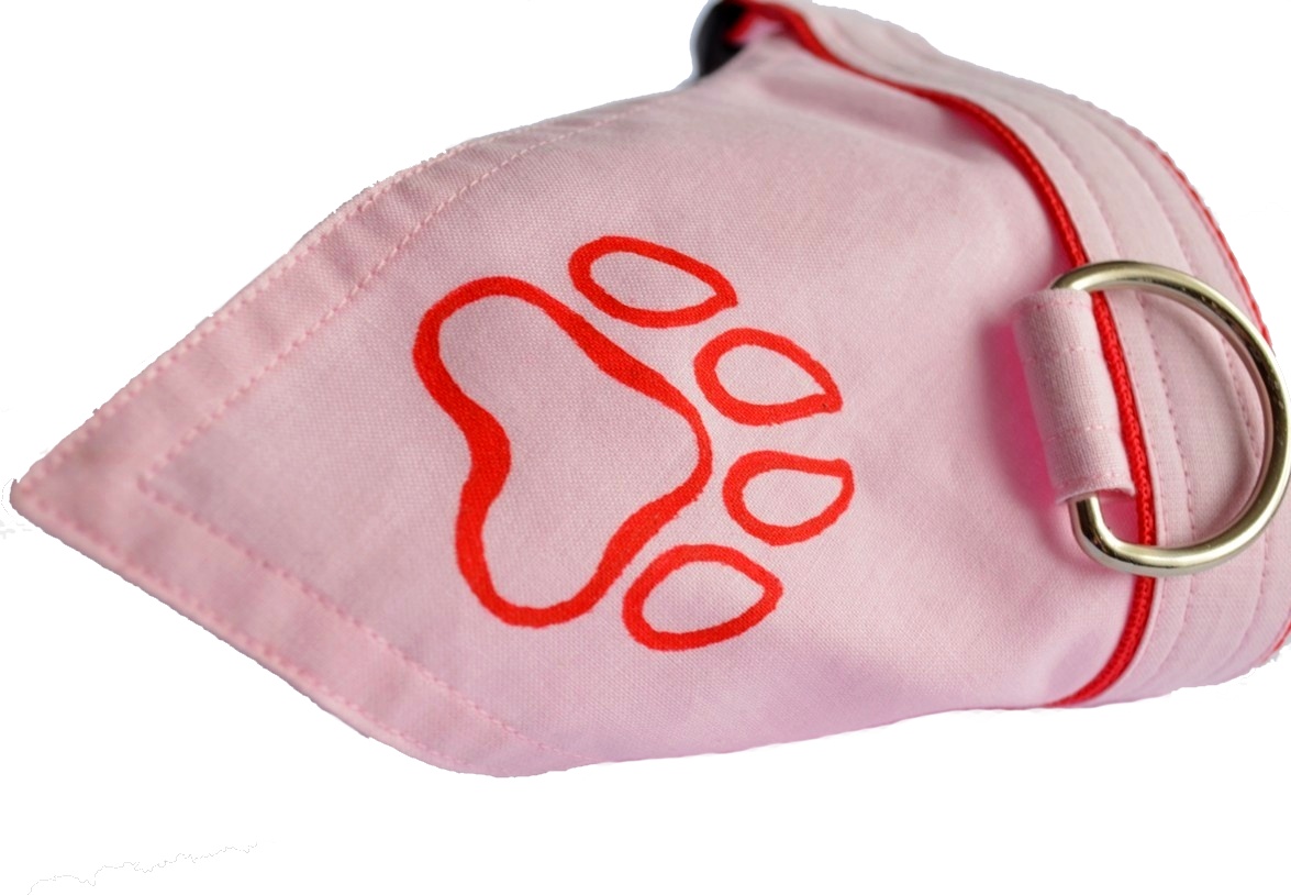 Obojek s šátkem "Tlapka" - malovaný