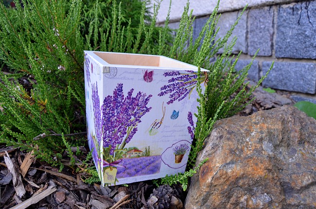 Vařečkovník levandule 