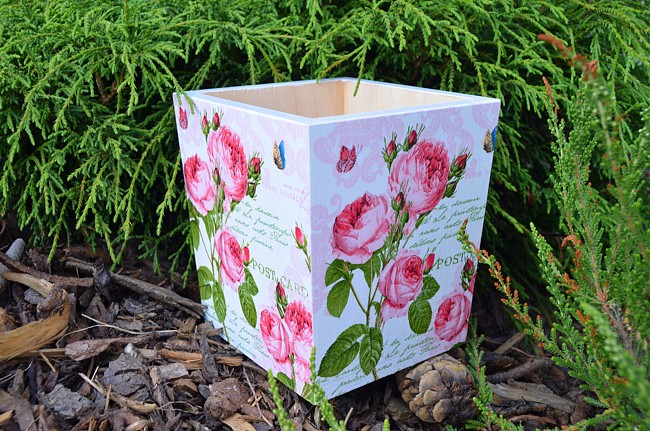 Vařečkovník růžičky