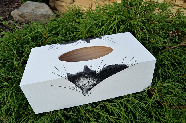 krabička na kapesníky kotě