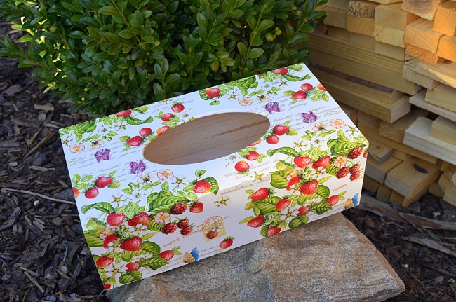 krabička na kapesníky jahody