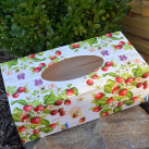 krabička na kapesníky jahody
