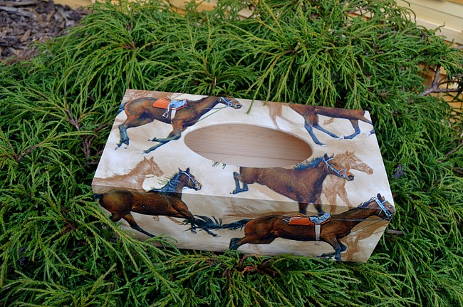 krabička na kapesníky koně