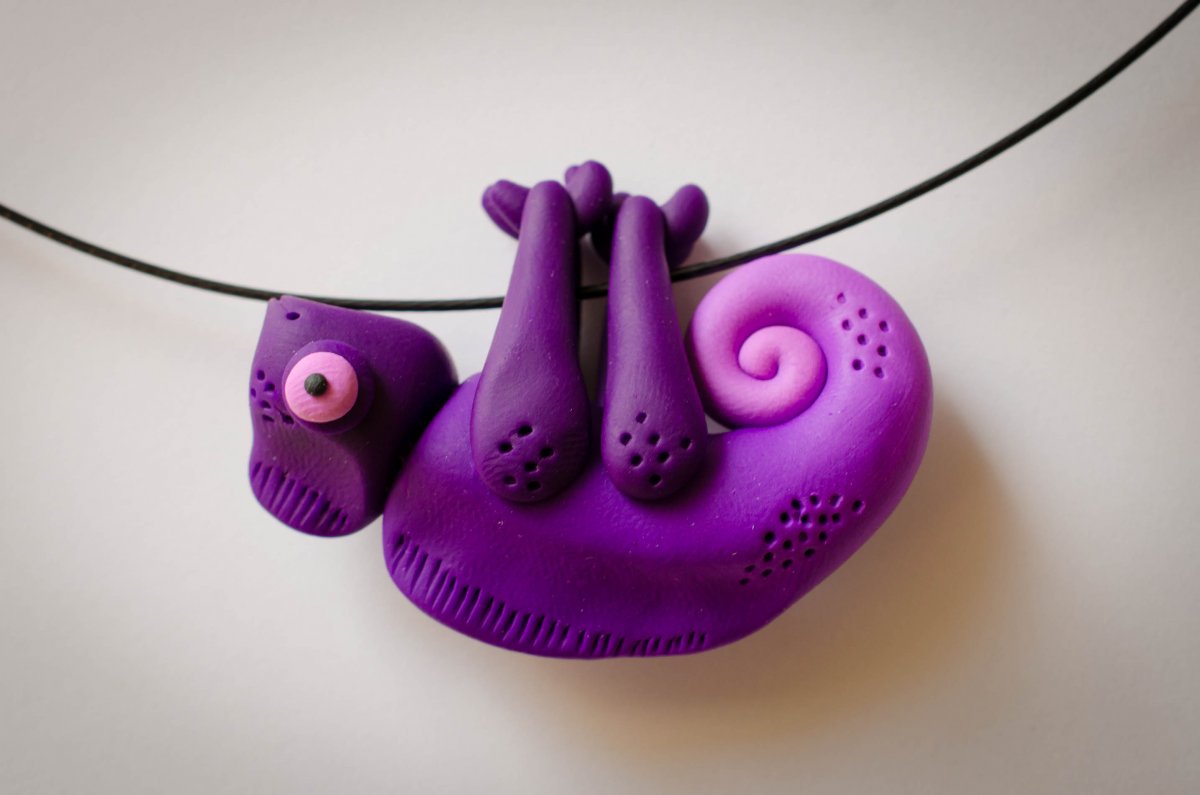 Dvoubarevný chameleon