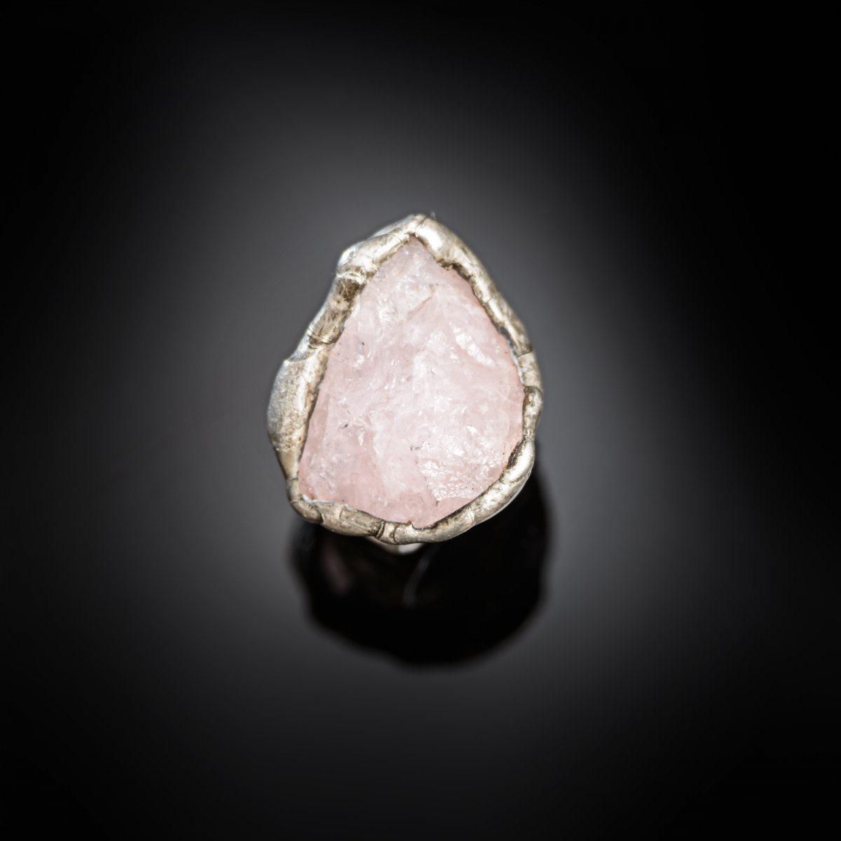 Drsňák růženínový III