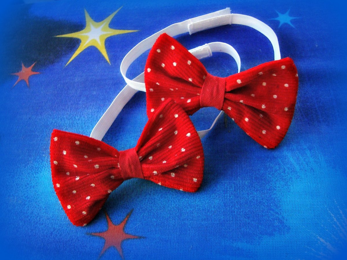 Motýlek s puntíčky