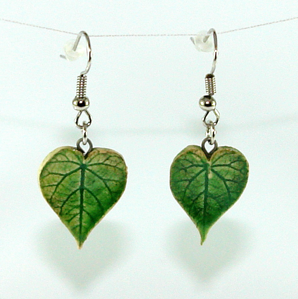 Náušnice lístky IX.