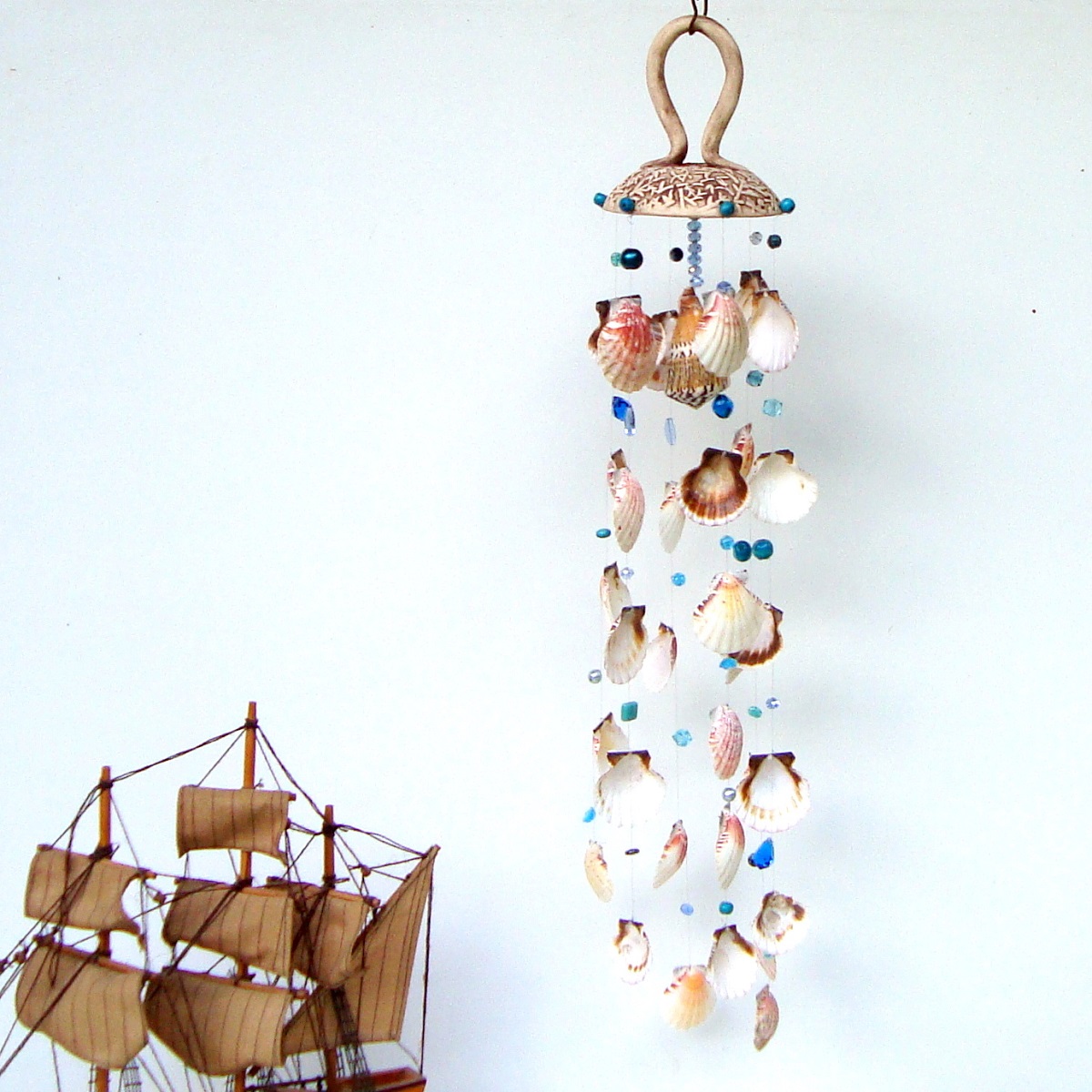 Mušličková cinkačka  