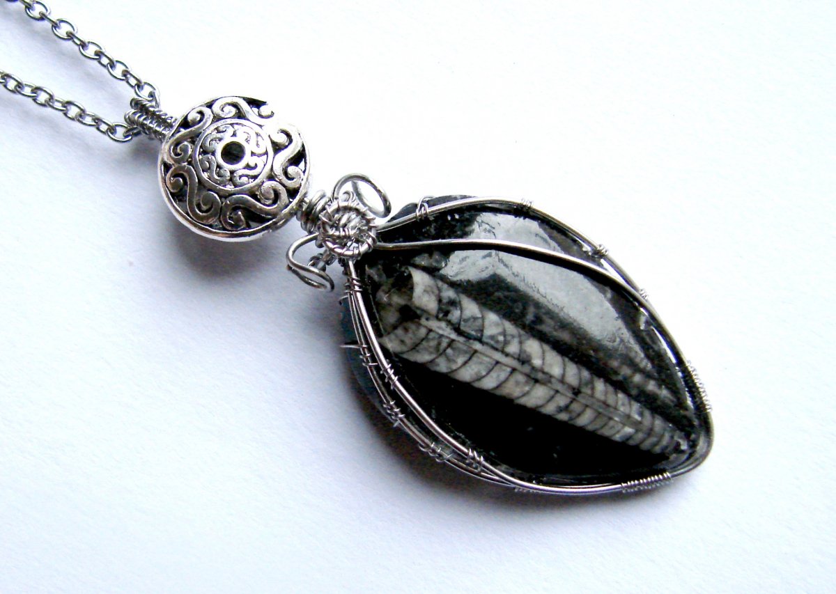 Zkamenělý pro krásu.