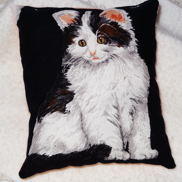 Levandulová kočka Amanda