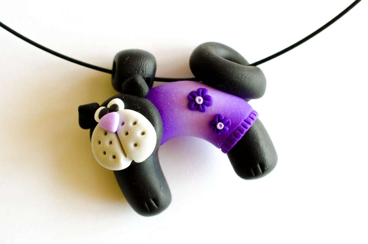 Kočka ve svetříku