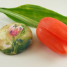 Brož - tulipánová