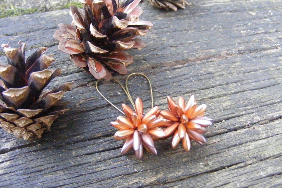 Ježovky - podzimní