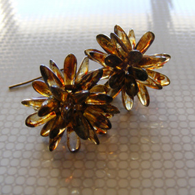 Ježovky - podzimní