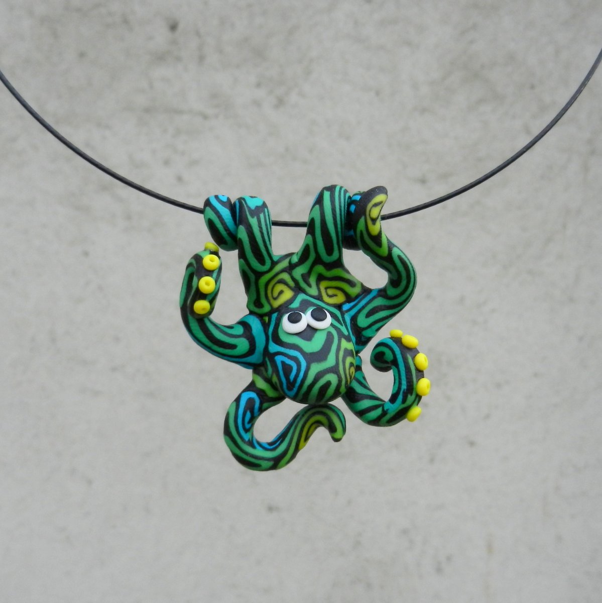 Chobotnička měňavá