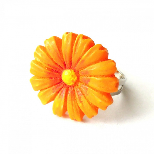 Orange daisy