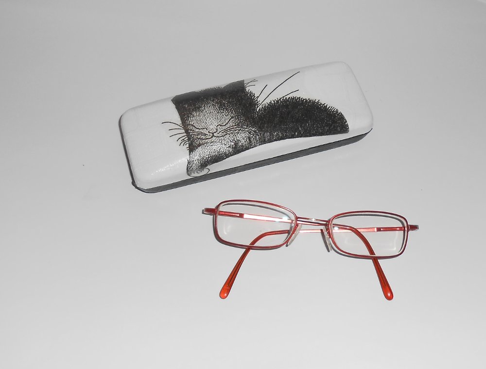 Pouzdro na brýle-koťátko