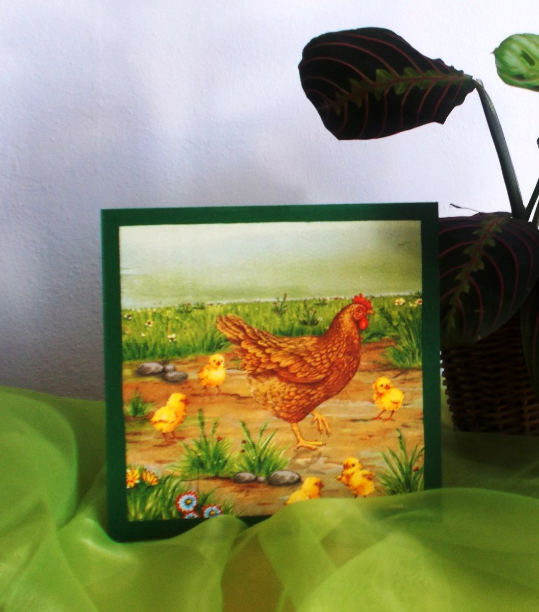 Slepice s kuřaty v trávě