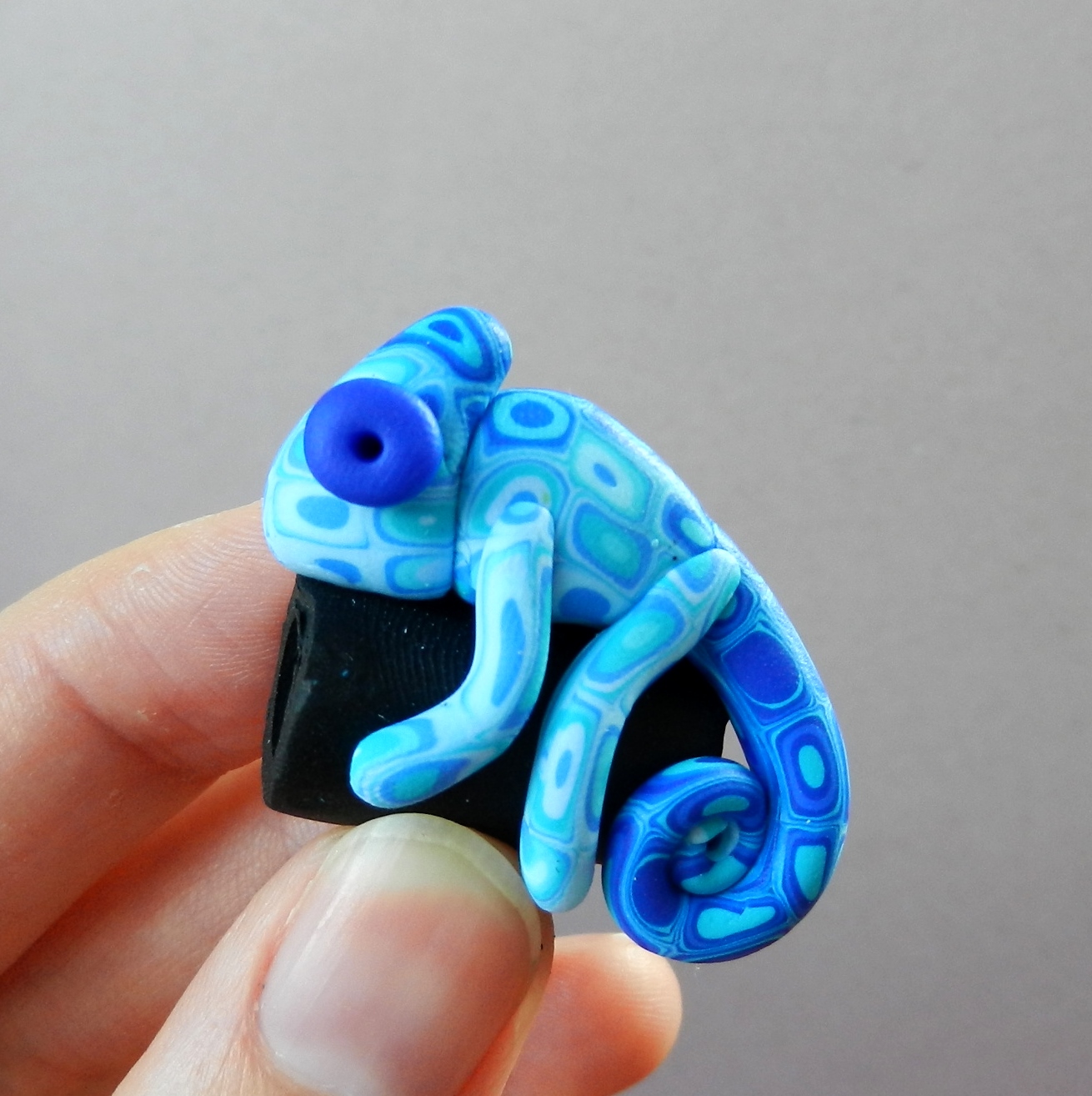 Chamík modrý dredový