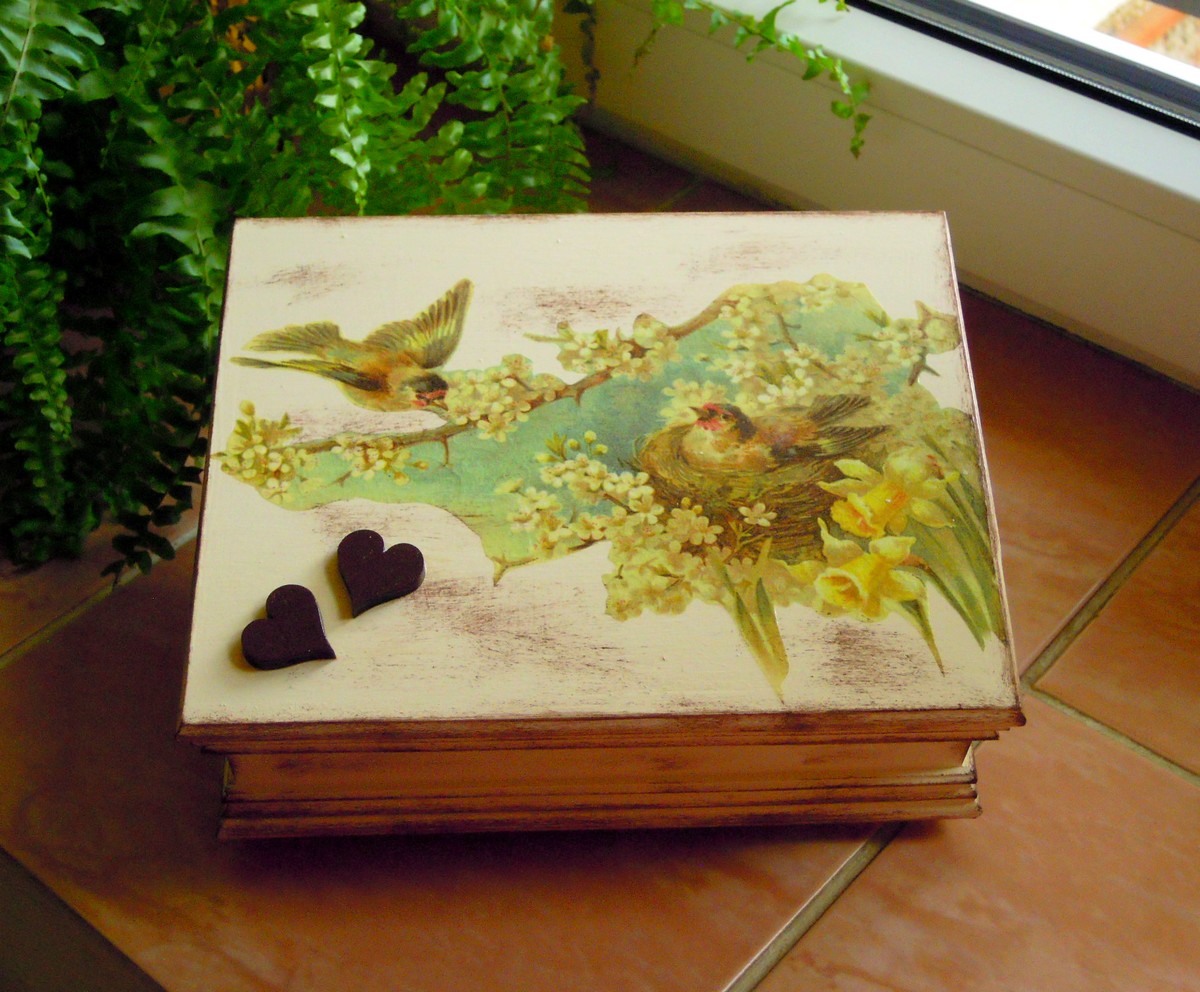 Ptáčci v hnízdě DTČ-8 