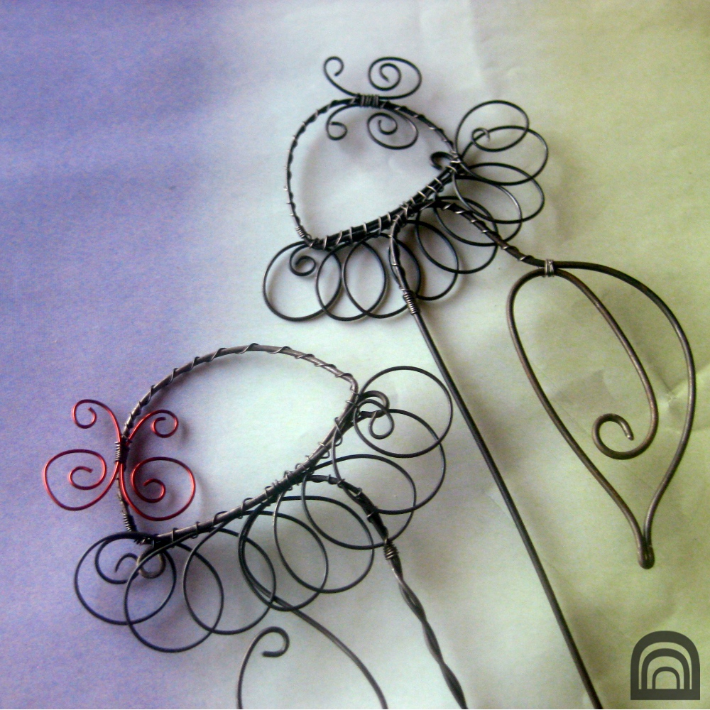 Echinacea  - zápich