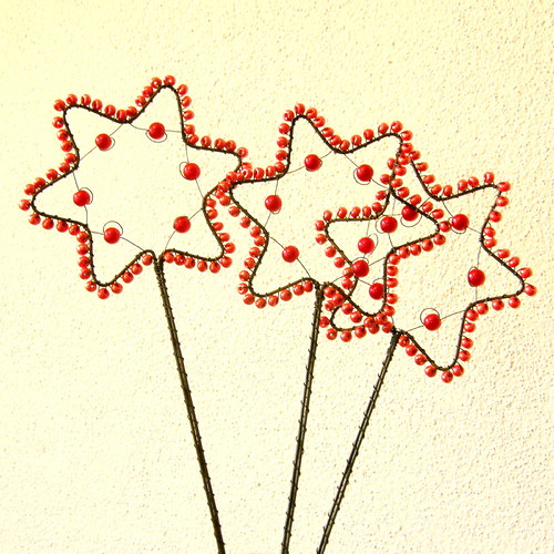 Zápich Vánoční hvězda