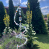 Lapač slunce - čirá spirála