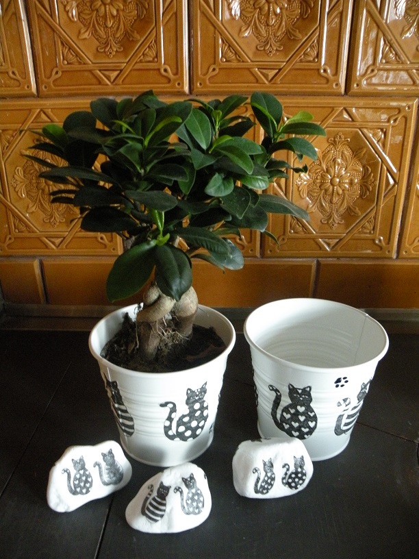 Plechový obal na květináč s kočičkami