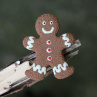 Gingerman