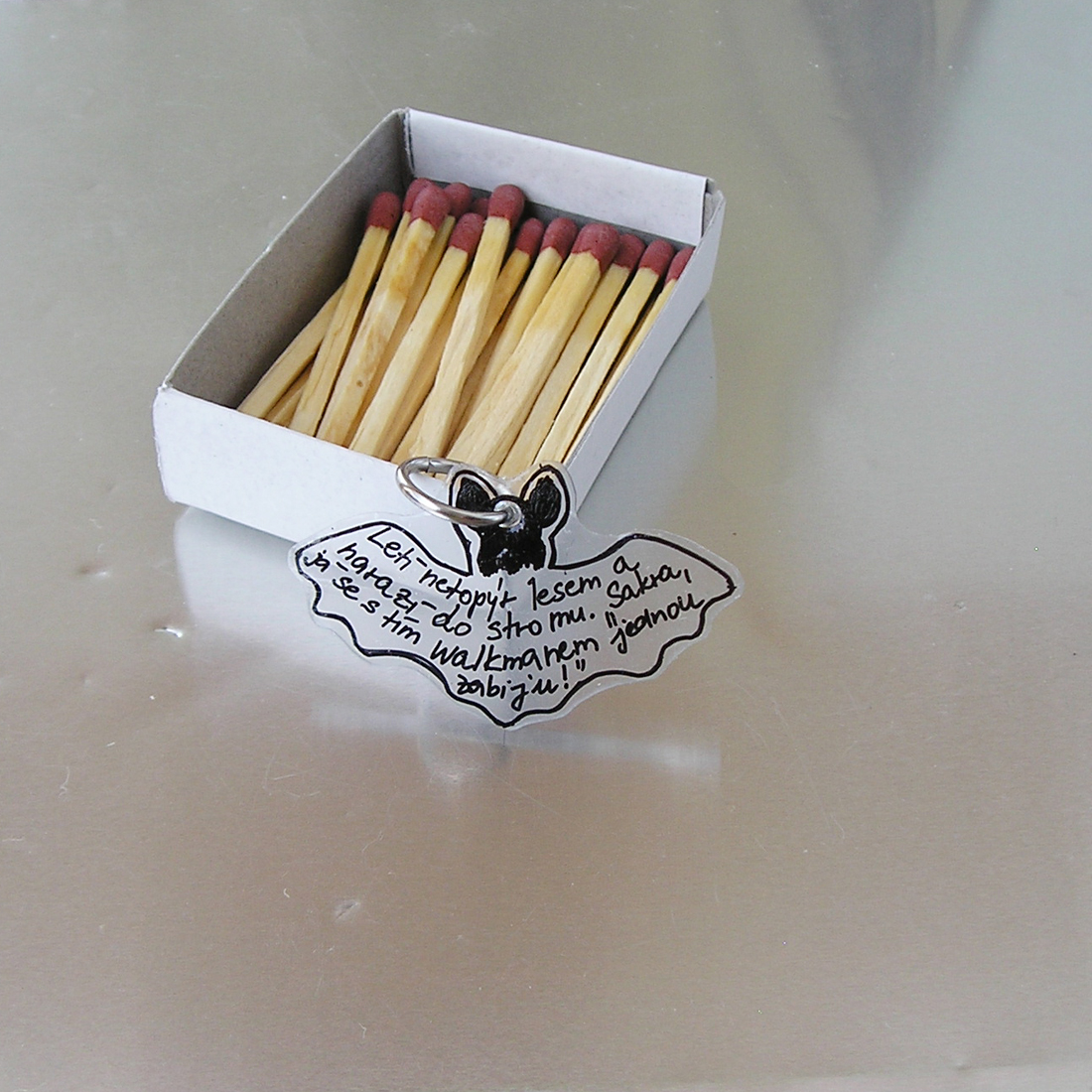 Fór první pomoci: netopýr