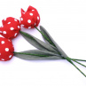 Když jaro přichází a tulipány rozkvétají. č 1035