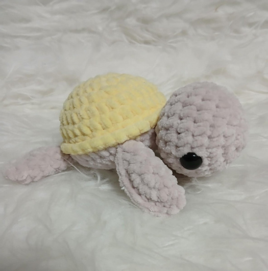 Muchlací želvička žlutá