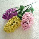 Šeříky korálkové