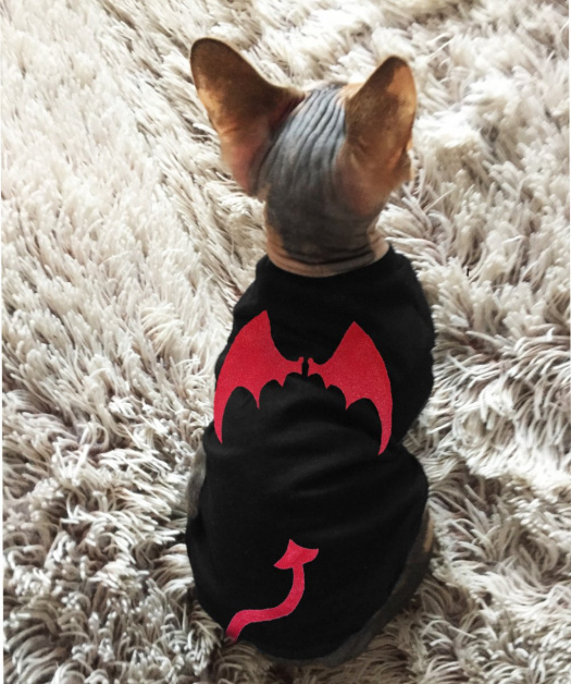 Tričko pro Sphynx ďáblík