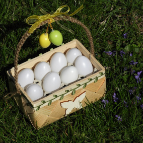 Stojan na dochucovadla/košík na 8 vajec přírodní
