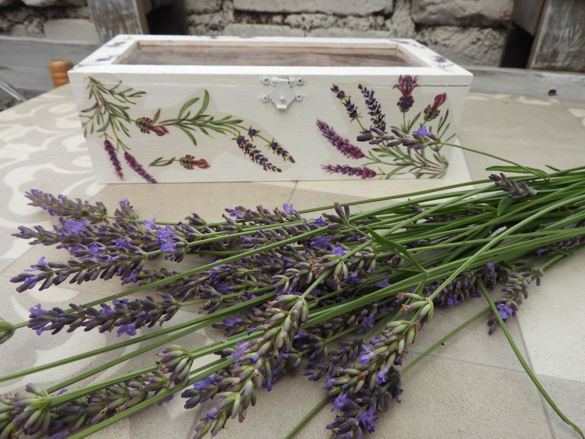  Krabička s průhledem - levandule