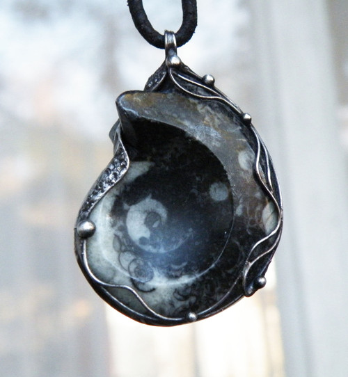 Z dávných časů...(goniatit)