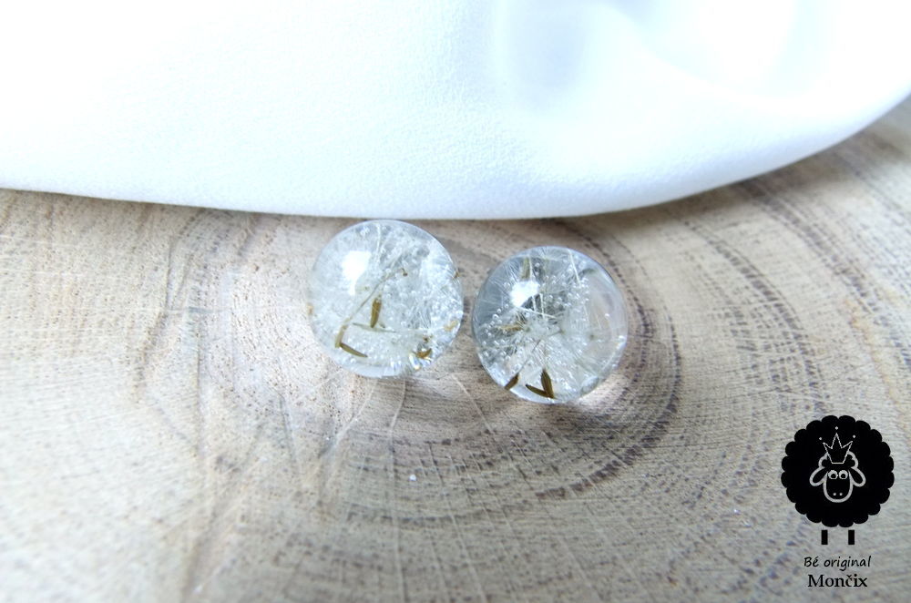 Pampelajdové – malé IV. | TOP