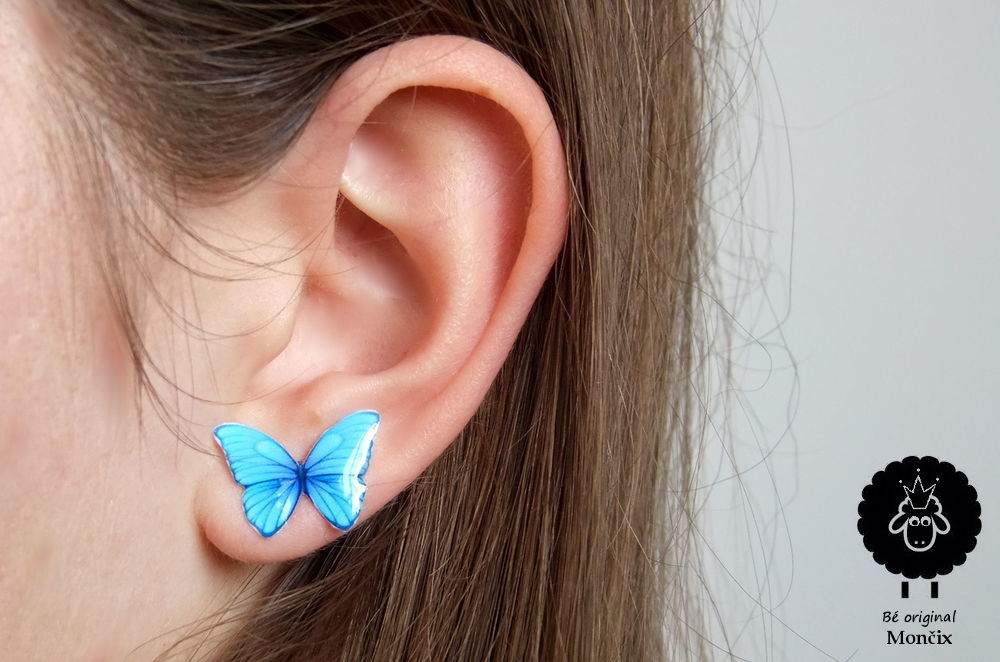 Modrásek | TOP 319169