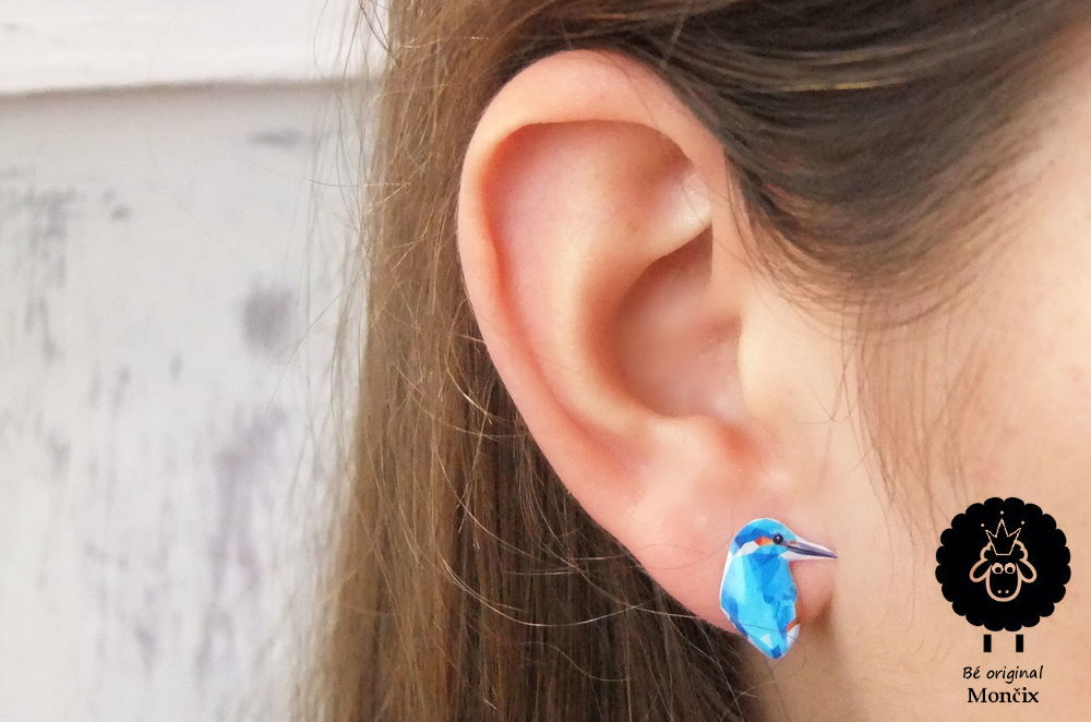 Ledňáček | TOP 79906