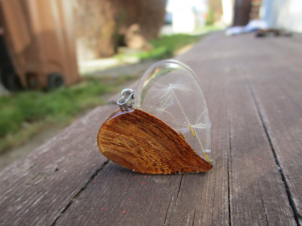 pampeliškové srdíčko -  bubinga