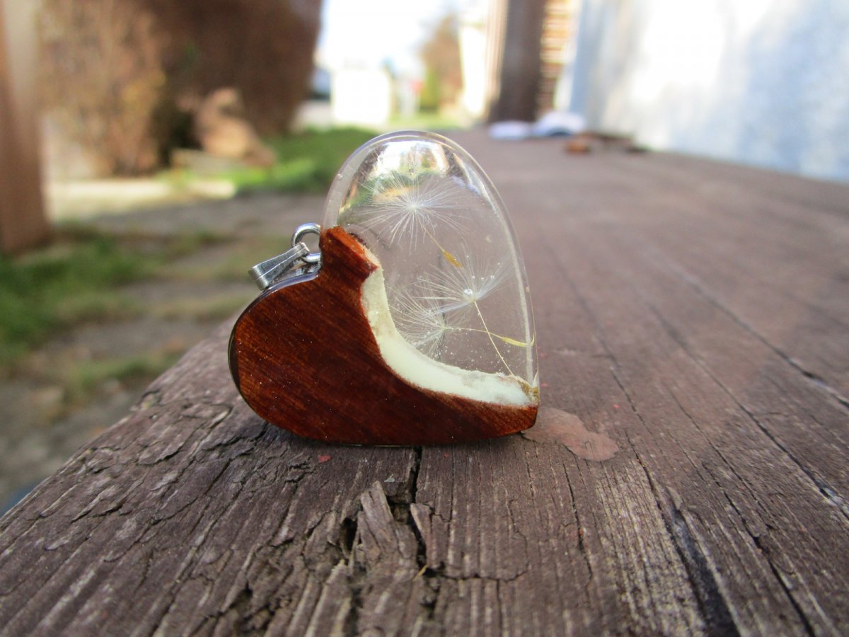 pampeliškové srdíčko - svítící cedr